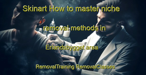 Skinart How to master niche removal methods in Erlandsbygget area | #RemovalTraining #RemovalClasses #SkinartTraining-Sweden