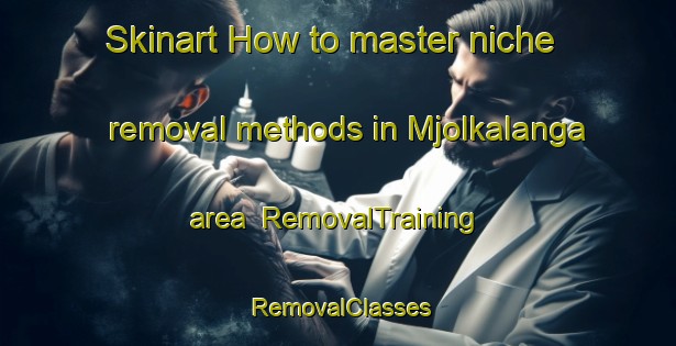 Skinart How to master niche removal methods in Mjolkalanga area | RemovalTraining | RemovalClasses | SkinartTraining-Sweden