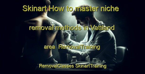 Skinart How to master niche removal methods in Vattland area | #RemovalTraining #RemovalClasses #SkinartTraining-Sweden