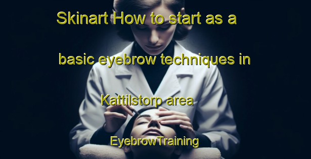 Skinart How to start as a basic eyebrow techniques in Kattilstorp area | EyebrowTraining | EyebrowClasses | SkinartTraining-Sweden