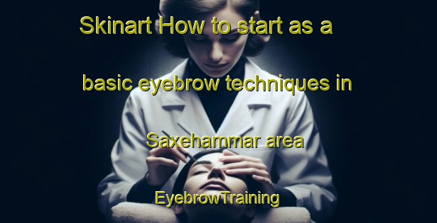 Skinart How to start as a basic eyebrow techniques in Saxehammar area | EyebrowTraining | EyebrowClasses | SkinartTraining-Sweden