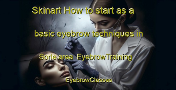 Skinart How to start as a basic eyebrow techniques in Sorle area | EyebrowTraining | EyebrowClasses | SkinartTraining-Sweden
