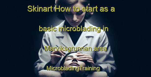 Skinart How to start as a basic microblading in Marviksgrunnan area | MicrobladingTraining | MicrobladingClasses | SkinartTraining-Sweden