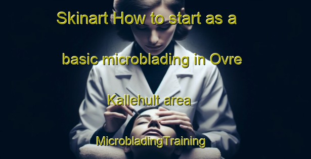 Skinart How to start as a basic microblading in Ovre Kallehult area | MicrobladingTraining | MicrobladingClasses | SkinartTraining-Sweden