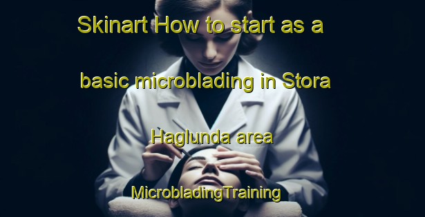 Skinart How to start as a basic microblading in Stora Haglunda area | MicrobladingTraining | MicrobladingClasses | SkinartTraining-Sweden