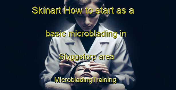 Skinart How to start as a basic microblading in Styggstorp area | MicrobladingTraining | MicrobladingClasses | SkinartTraining-Sweden