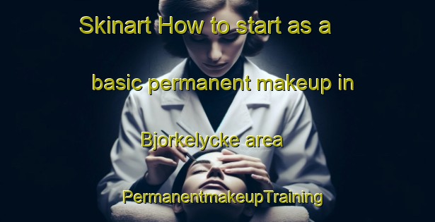 Skinart How to start as a basic permanent makeup in Bjorkelycke area | PermanentmakeupTraining | PermanentmakeupClasses | SkinartTraining-Sweden
