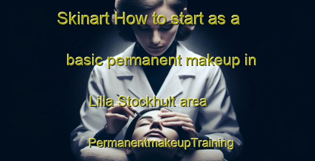 Skinart How to start as a basic permanent makeup in Lilla Stockhult area | PermanentmakeupTraining | PermanentmakeupClasses | SkinartTraining-Sweden