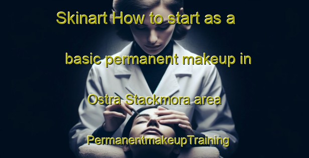 Skinart How to start as a basic permanent makeup in Ostra Stackmora area | PermanentmakeupTraining | PermanentmakeupClasses | SkinartTraining-Sweden