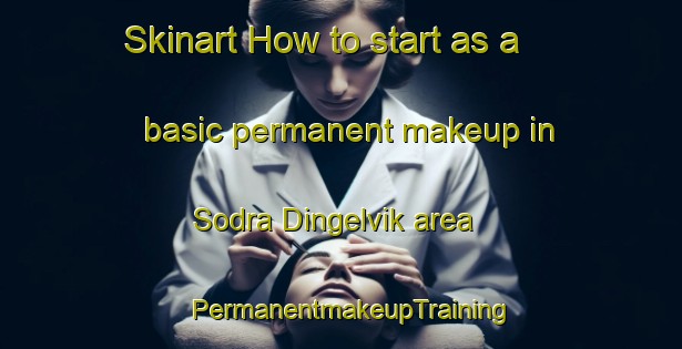 Skinart How to start as a basic permanent makeup in Sodra Dingelvik area | PermanentmakeupTraining | PermanentmakeupClasses | SkinartTraining-Sweden