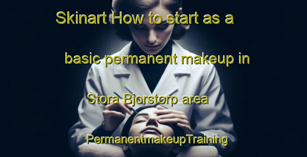 Skinart How to start as a basic permanent makeup in Stora Bjorstorp area | PermanentmakeupTraining | PermanentmakeupClasses | SkinartTraining-Sweden