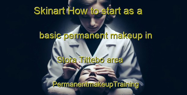 Skinart How to start as a basic permanent makeup in Stora Tittebo area | PermanentmakeupTraining | PermanentmakeupClasses | SkinartTraining-Sweden