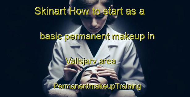 Skinart How to start as a basic permanent makeup in Vallsjarv area | PermanentmakeupTraining | PermanentmakeupClasses | SkinartTraining-Sweden