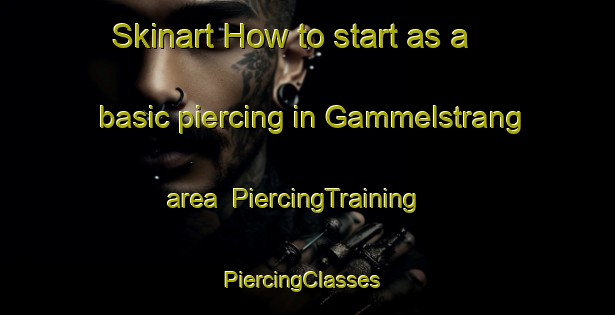 Skinart How to start as a basic piercing in Gammelstrang area | PiercingTraining | PiercingClasses | SkinartTraining-Sweden