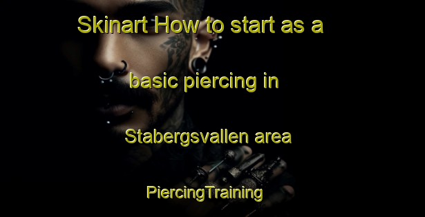 Skinart How to start as a basic piercing in Stabergsvallen area | PiercingTraining | PiercingClasses | SkinartTraining-Sweden