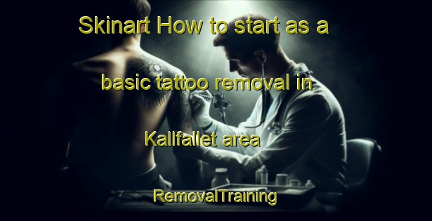 Skinart How to start as a basic tattoo removal in Kallfallet area | RemovalTraining | RemovalClasses | SkinartTraining-Sweden