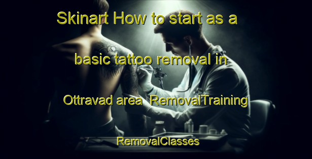 Skinart How to start as a basic tattoo removal in Ottravad area | RemovalTraining | RemovalClasses | SkinartTraining-Sweden