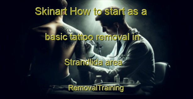 Skinart How to start as a basic tattoo removal in Strandlida area | RemovalTraining | RemovalClasses | SkinartTraining-Sweden