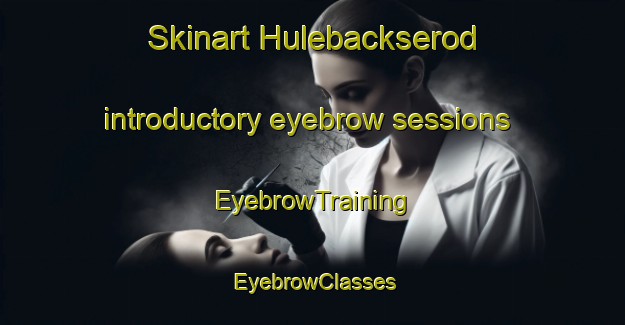 Skinart Hulebackserod introductory eyebrow sessions | EyebrowTraining | EyebrowClasses | SkinartTraining-Sweden