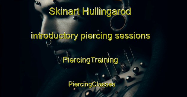 Skinart Hullingarod introductory piercing sessions | PiercingTraining | PiercingClasses | SkinartTraining-Sweden