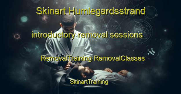 Skinart Humlegardsstrand introductory removal sessions | #RemovalTraining #RemovalClasses #SkinartTraining-Sweden