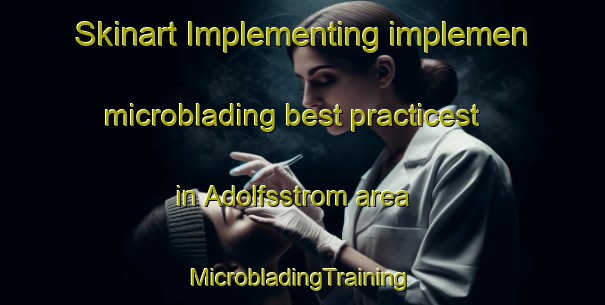 Skinart Implementing implemen microblading best practicest in Adolfsstrom area | #MicrobladingTraining #MicrobladingClasses #SkinartTraining-Sweden