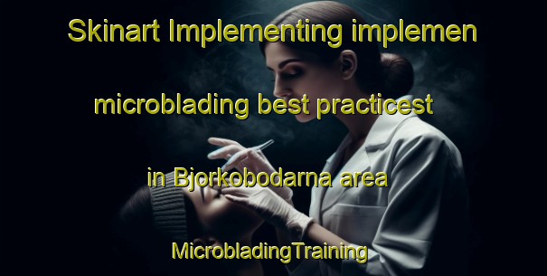 Skinart Implementing implemen microblading best practicest in Bjorkobodarna area | #MicrobladingTraining #MicrobladingClasses #SkinartTraining-Sweden