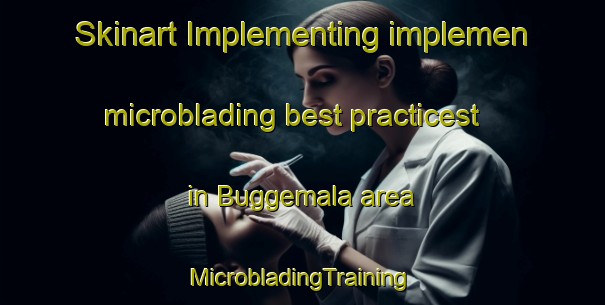 Skinart Implementing implemen microblading best practicest in Buggemala area | #MicrobladingTraining #MicrobladingClasses #SkinartTraining-Sweden