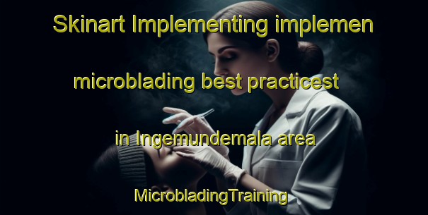 Skinart Implementing implemen microblading best practicest in Ingemundemala area | #MicrobladingTraining #MicrobladingClasses #SkinartTraining-Sweden