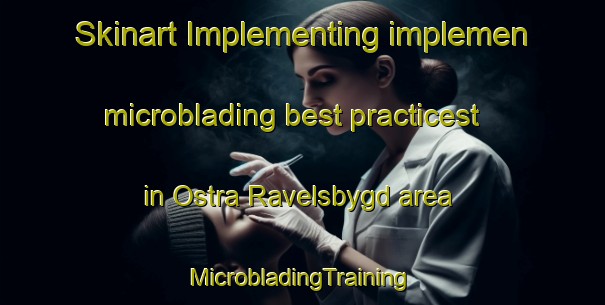 Skinart Implementing implemen microblading best practicest in Ostra Ravelsbygd area | #MicrobladingTraining #MicrobladingClasses #SkinartTraining-Sweden