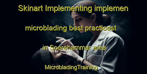 Skinart Implementing implemen microblading best practicest in Soerehammar area | MicrobladingTraining | MicrobladingClasses | SkinartTraining-Sweden