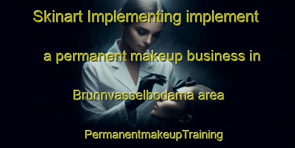 Skinart Implementing implement a permanent makeup business in Brunnvasselbodarna area | #PermanentmakeupTraining #PermanentmakeupClasses #SkinartTraining-Sweden