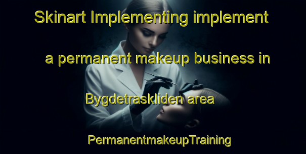 Skinart Implementing implement a permanent makeup business in Bygdetraskliden area | #PermanentmakeupTraining #PermanentmakeupClasses #SkinartTraining-Sweden