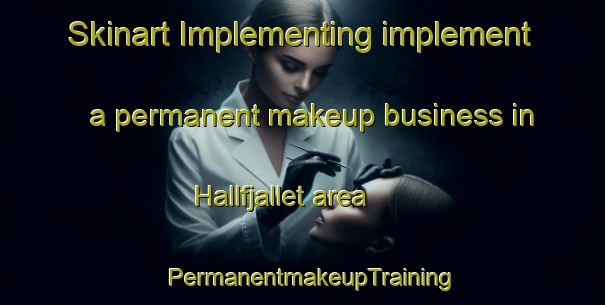 Skinart Implementing implement a permanent makeup business in Hallfjallet area | PermanentmakeupTraining | PermanentmakeupClasses | SkinartTraining-Sweden