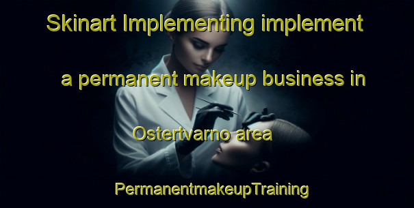 Skinart Implementing implement a permanent makeup business in Ostertvarno area | PermanentmakeupTraining | PermanentmakeupClasses | SkinartTraining-Sweden