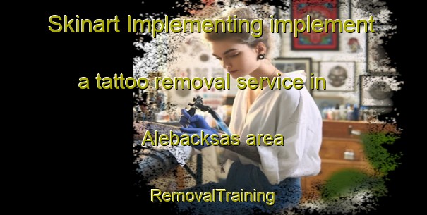 Skinart Implementing implement a tattoo removal service in Alebacksas area | RemovalTraining | RemovalClasses | SkinartTraining-Sweden