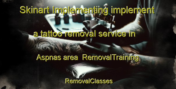 Skinart Implementing implement a tattoo removal service in Aspnas area | RemovalTraining | RemovalClasses | SkinartTraining-Sweden