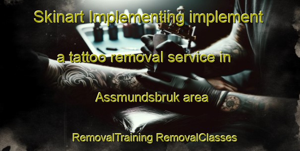 Skinart Implementing implement a tattoo removal service in Assmundsbruk area | #RemovalTraining #RemovalClasses #SkinartTraining-Sweden