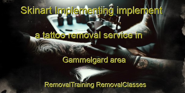 Skinart Implementing implement a tattoo removal service in Gammelgard area | #RemovalTraining #RemovalClasses #SkinartTraining-Sweden