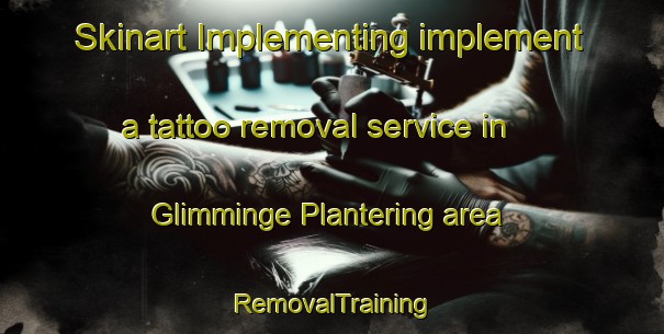 Skinart Implementing implement a tattoo removal service in Glimminge Plantering area | RemovalTraining | RemovalClasses | SkinartTraining-Sweden