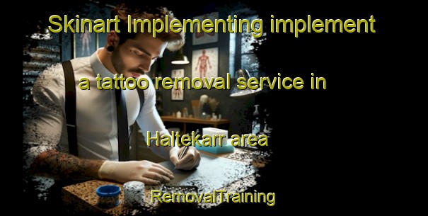 Skinart Implementing implement a tattoo removal service in Haltekarr area | RemovalTraining | RemovalClasses | SkinartTraining-Sweden