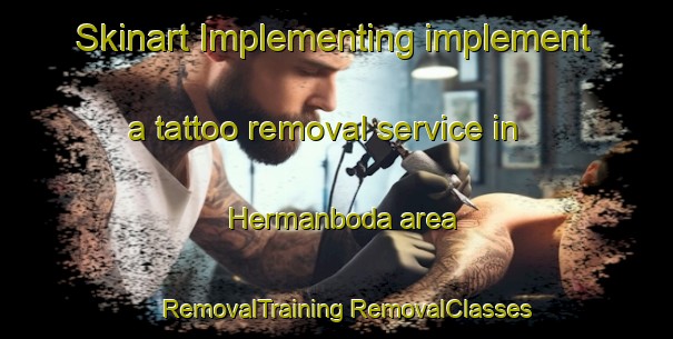 Skinart Implementing implement a tattoo removal service in Hermanboda area | #RemovalTraining #RemovalClasses #SkinartTraining-Sweden