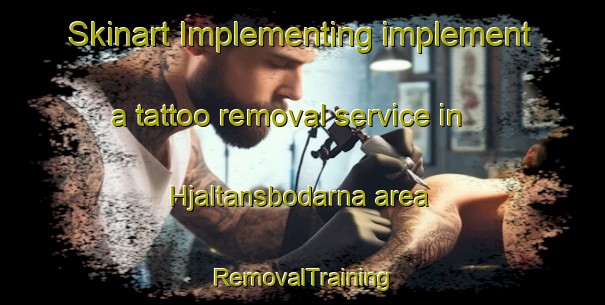 Skinart Implementing implement a tattoo removal service in Hjaltansbodarna area | RemovalTraining | RemovalClasses | SkinartTraining-Sweden