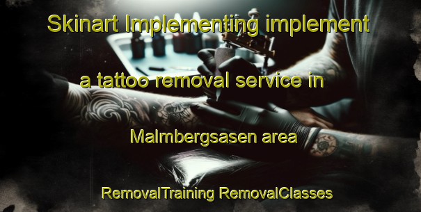 Skinart Implementing implement a tattoo removal service in Malmbergsasen area | #RemovalTraining #RemovalClasses #SkinartTraining-Sweden