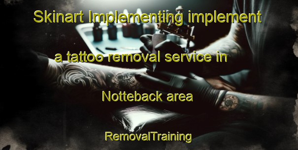Skinart Implementing implement a tattoo removal service in Notteback area | RemovalTraining | RemovalClasses | SkinartTraining-Sweden