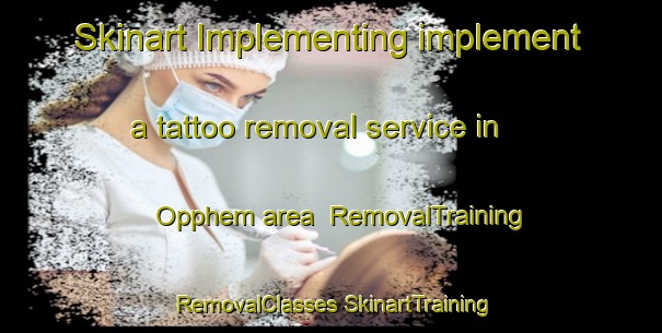 Skinart Implementing implement a tattoo removal service in Opphem area | #RemovalTraining #RemovalClasses #SkinartTraining-Sweden