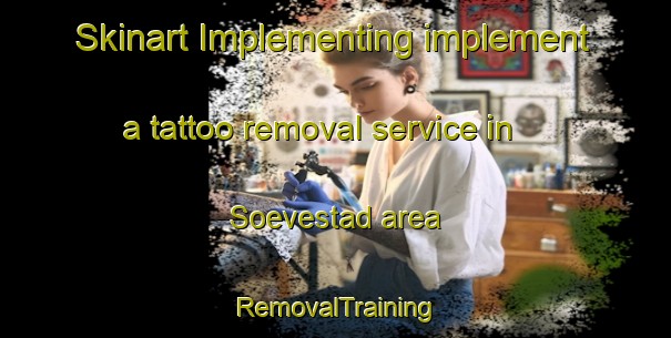 Skinart Implementing implement a tattoo removal service in Soevestad area | RemovalTraining | RemovalClasses | SkinartTraining-Sweden