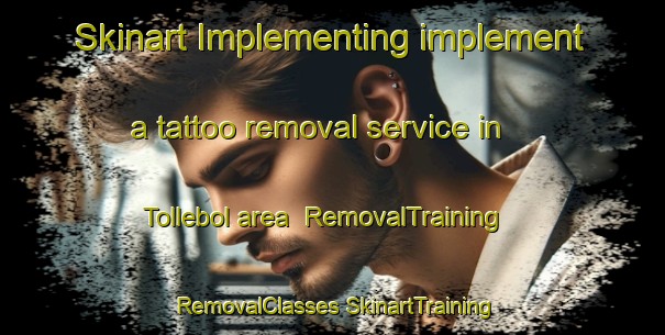 Skinart Implementing implement a tattoo removal service in Tollebol area | #RemovalTraining #RemovalClasses #SkinartTraining-Sweden