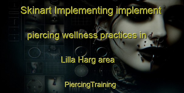 Skinart Implementing implement piercing wellness practices in Lilla Harg area | #PiercingTraining #PiercingClasses #SkinartTraining-Sweden