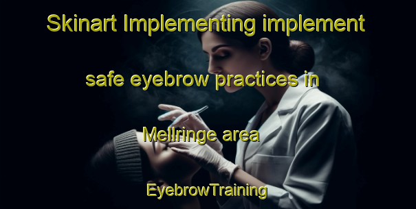 Skinart Implementing implement safe eyebrow practices in Mellringe area | EyebrowTraining | EyebrowClasses | SkinartTraining-Sweden